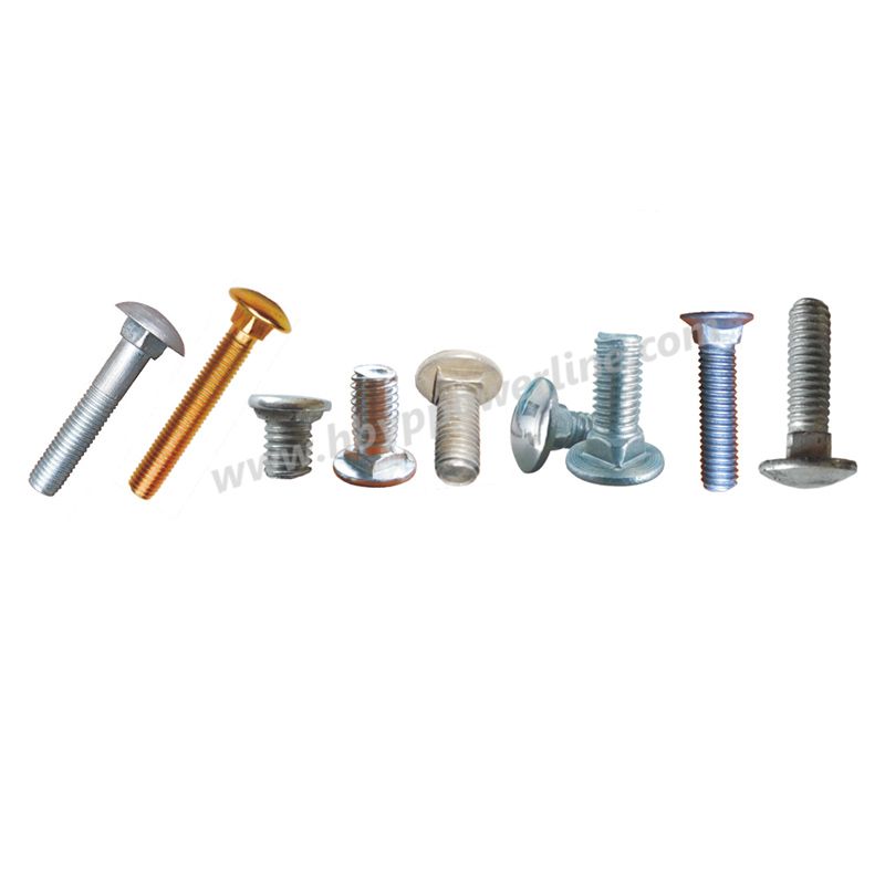 Carriage Bolt Fastener